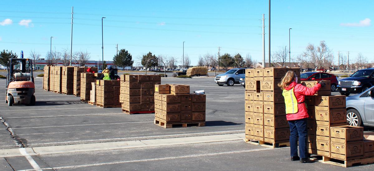 Foodbank distributing food Wednesday at Ford Idaho Center in Nampa