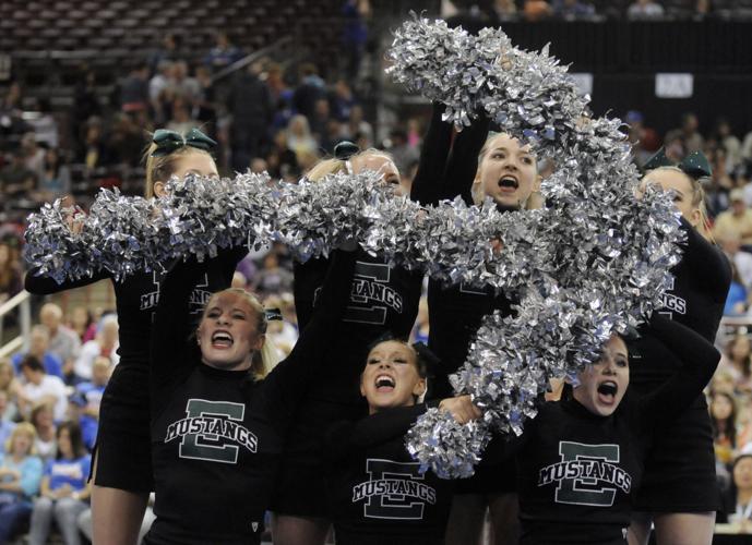 State Cheer Competition Photos