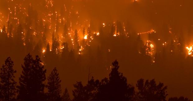 Trinity Ridge Fire grows, injures 3 from Utah crew | Local News ...