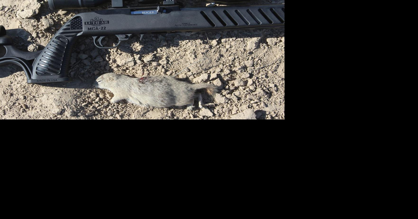 Whistle pig hunting Outdoors News