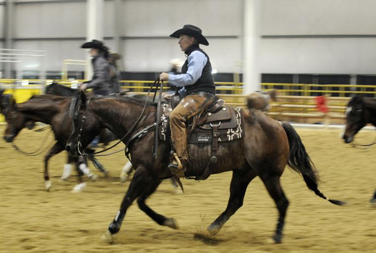 Idaho Cutting Horse Association Spring Show Photos