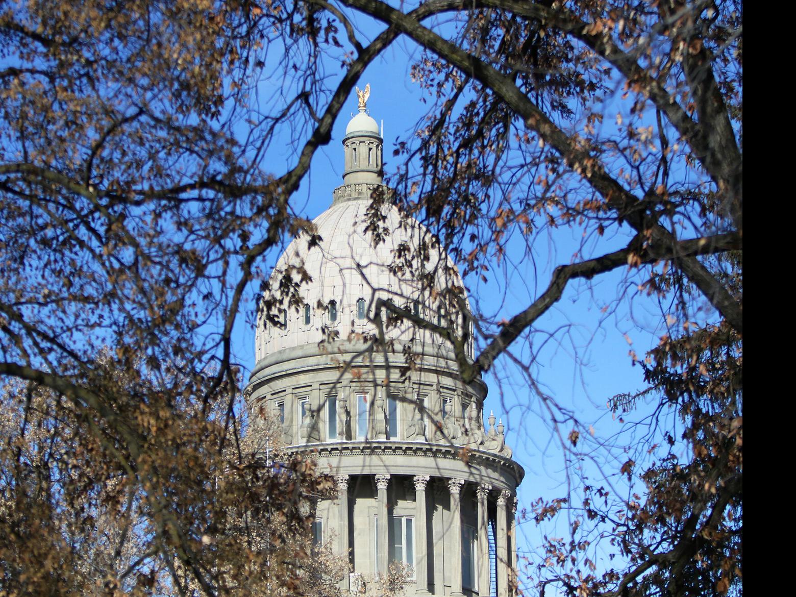 Committee accepts governor's recommendation on Idaho state employee pay  raises | Local News | idahopress.com