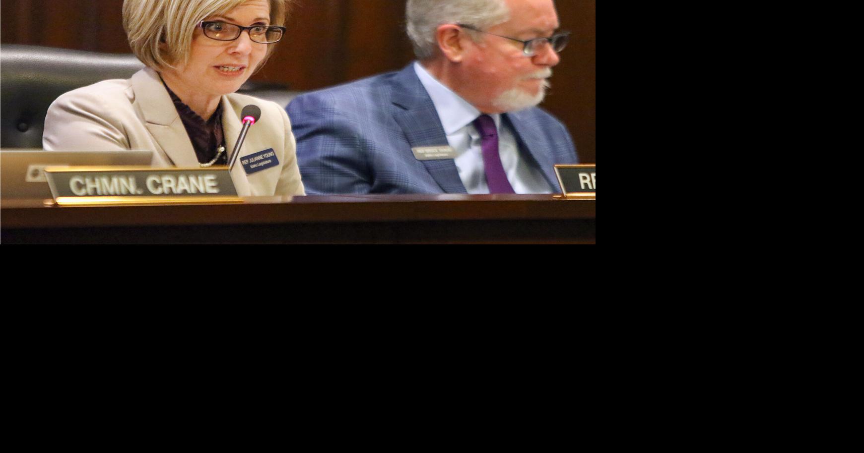 Bill to require age verification to access porn online introduced in