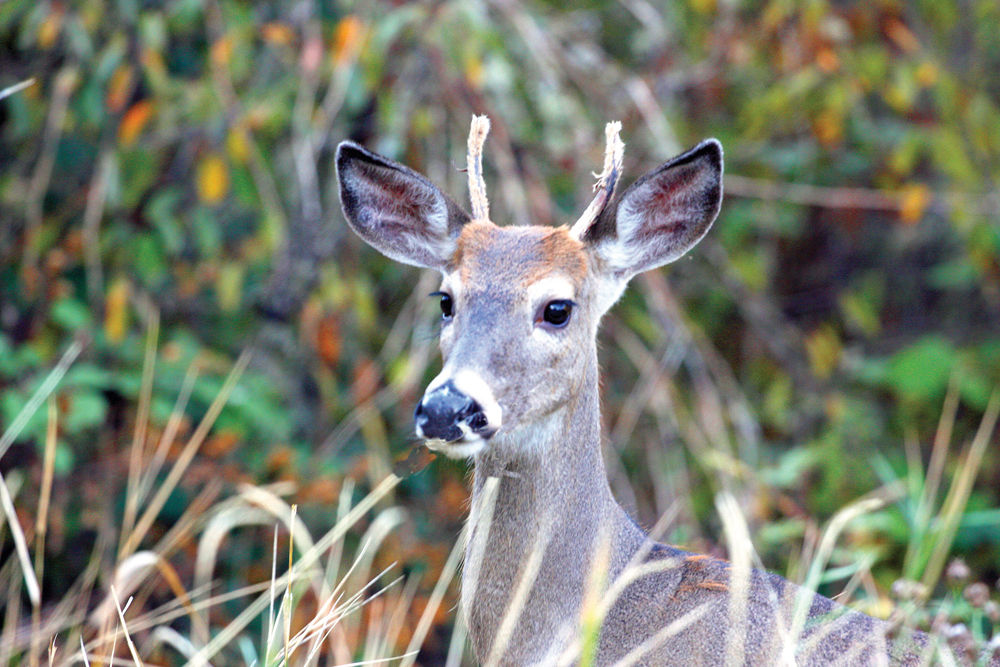 Getting back to the real world Community