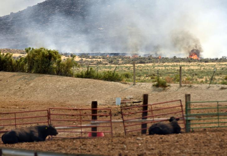 Soda fire now 200,000 acres, moving toward Homedale | Local News ...