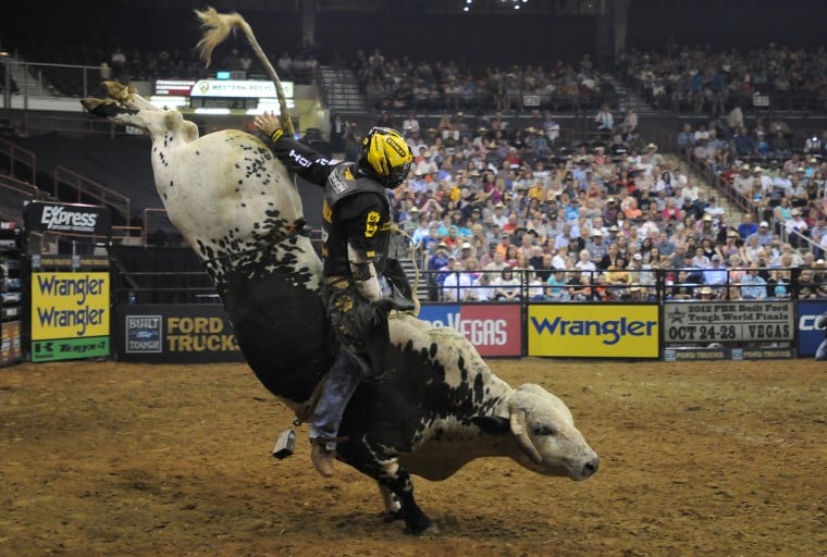 Professional Bull Riders (PBR) Day 2 | Sports | idahopress.com