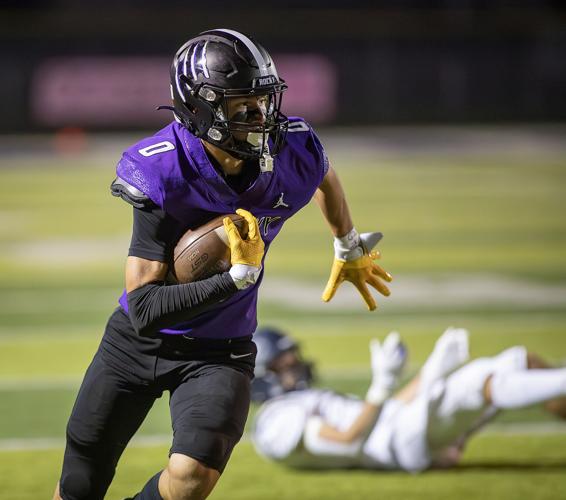 Austin Rovig Grizzlies take down Vikings to continue dominance | Sports | idahopress.com