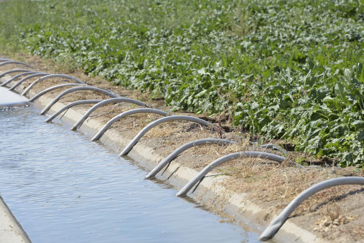 Nampa irrigation season to last 'as long as possible' Local News