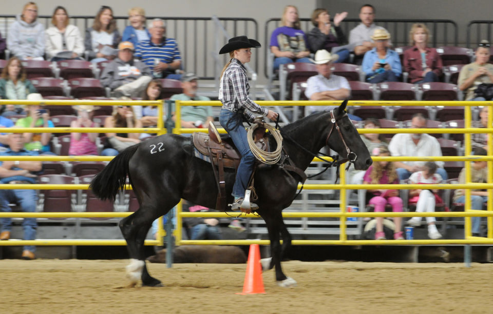 Extreme Mustang Makeover | Photos | idahopress.com