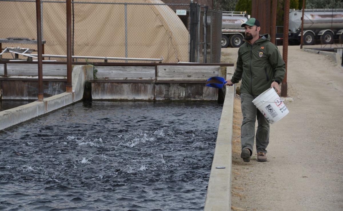 Nampa Fish Hatchery is bringing anglers hundreds of thousands of trout