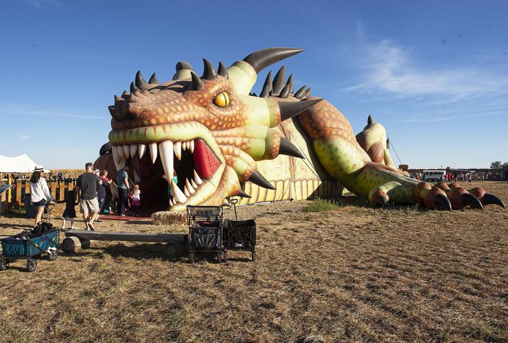 Two Treasure Valley family farms celebrate harvest season with corn