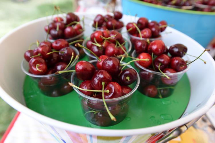 Emmett Cherry Festival Photos