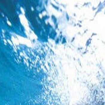 Видеть во сне акулу в воде. Белая акула. К чему снится акула нападает. К чему снится акула нападает. Укус большой белой акулы.