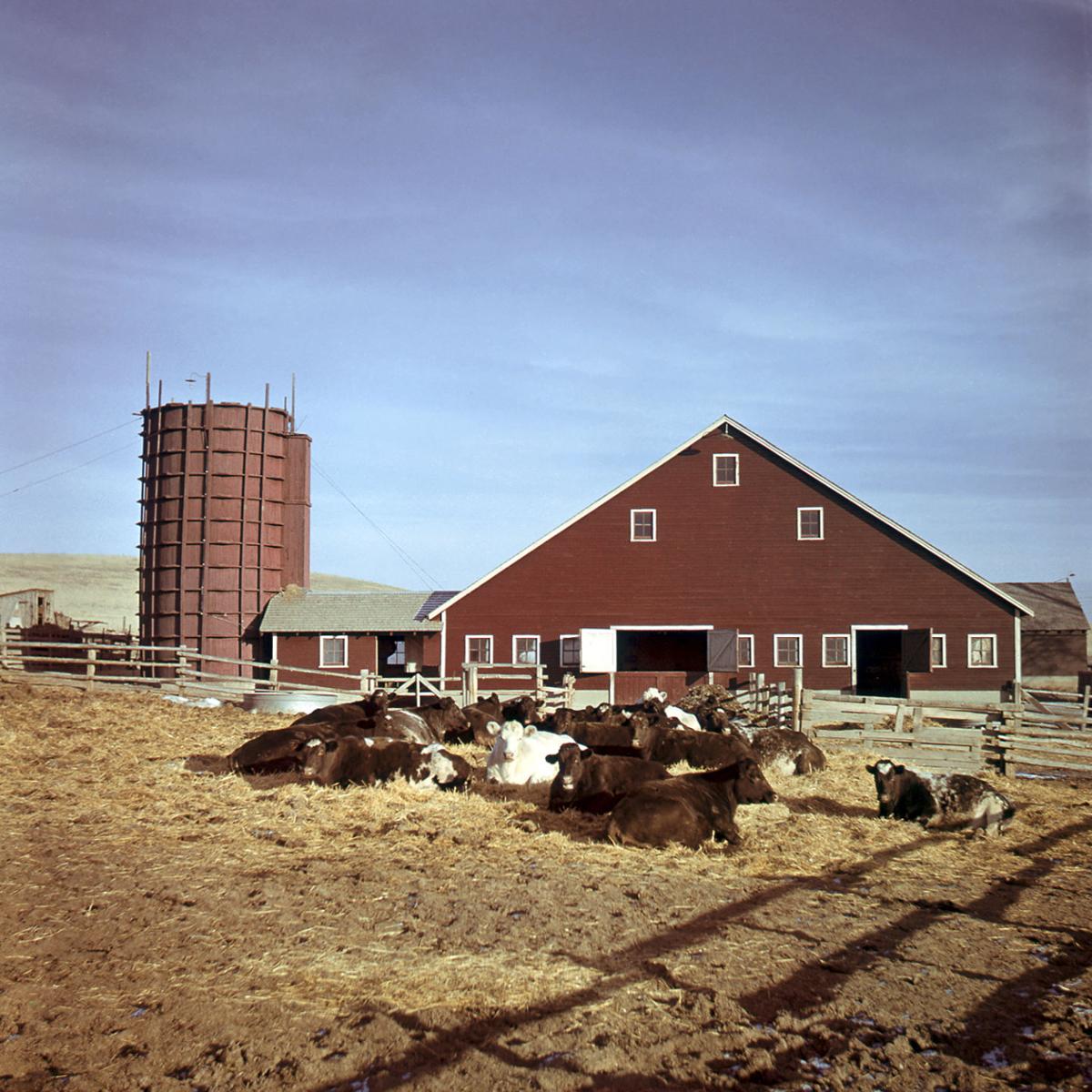 Van Slyke family celebrates 100 years of Canyon County history Local