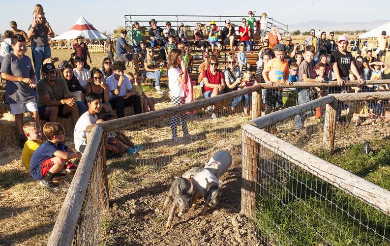 Two Treasure Valley family farms celebrate harvest season with corn