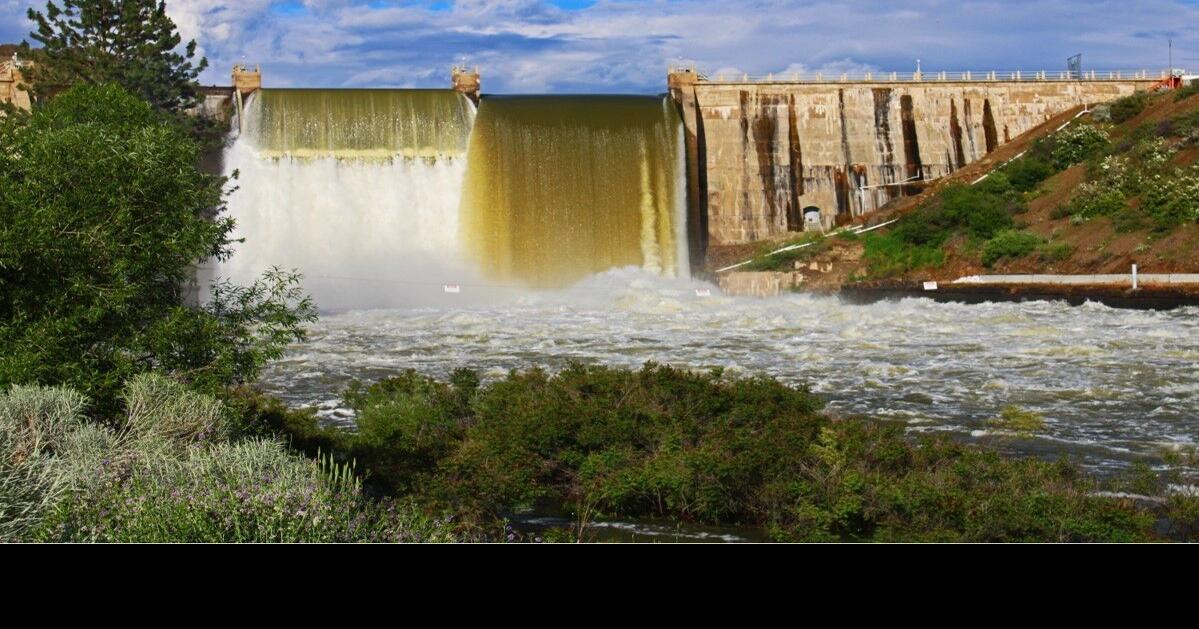 Former Idaho irrigation district treasurer accused of embezzling 1.8