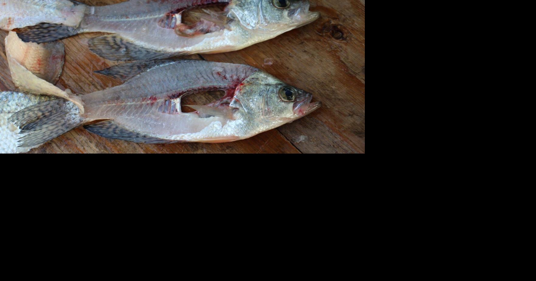 How to fillet a fish