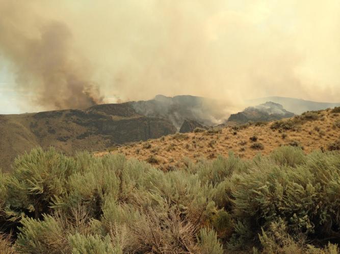 Soda fire now 200,000 acres, moving toward Homedale | Local News ...