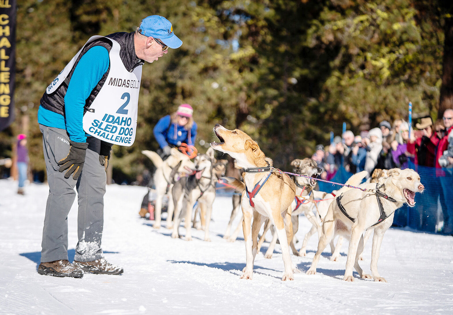 Idaho Sled Dog Challenge Charts Independent Path As McCall Winter ...