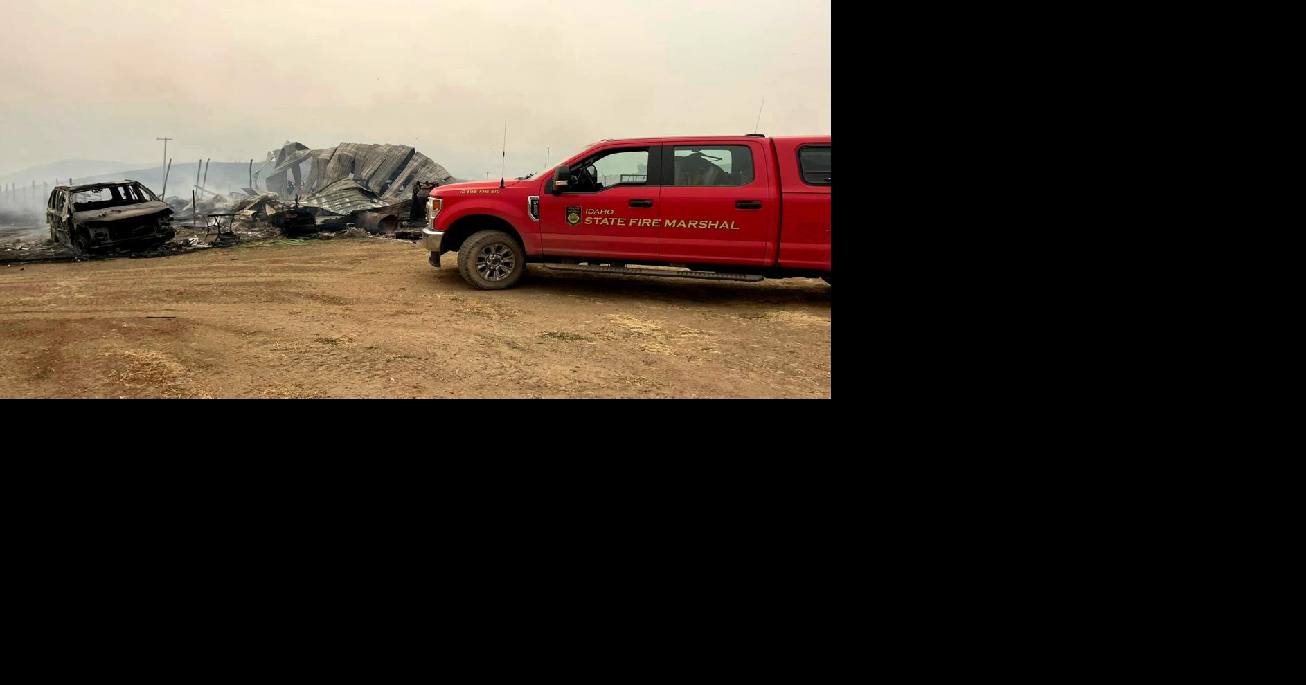 Property and animal losses mount as Paddock Fire continues to grow ...