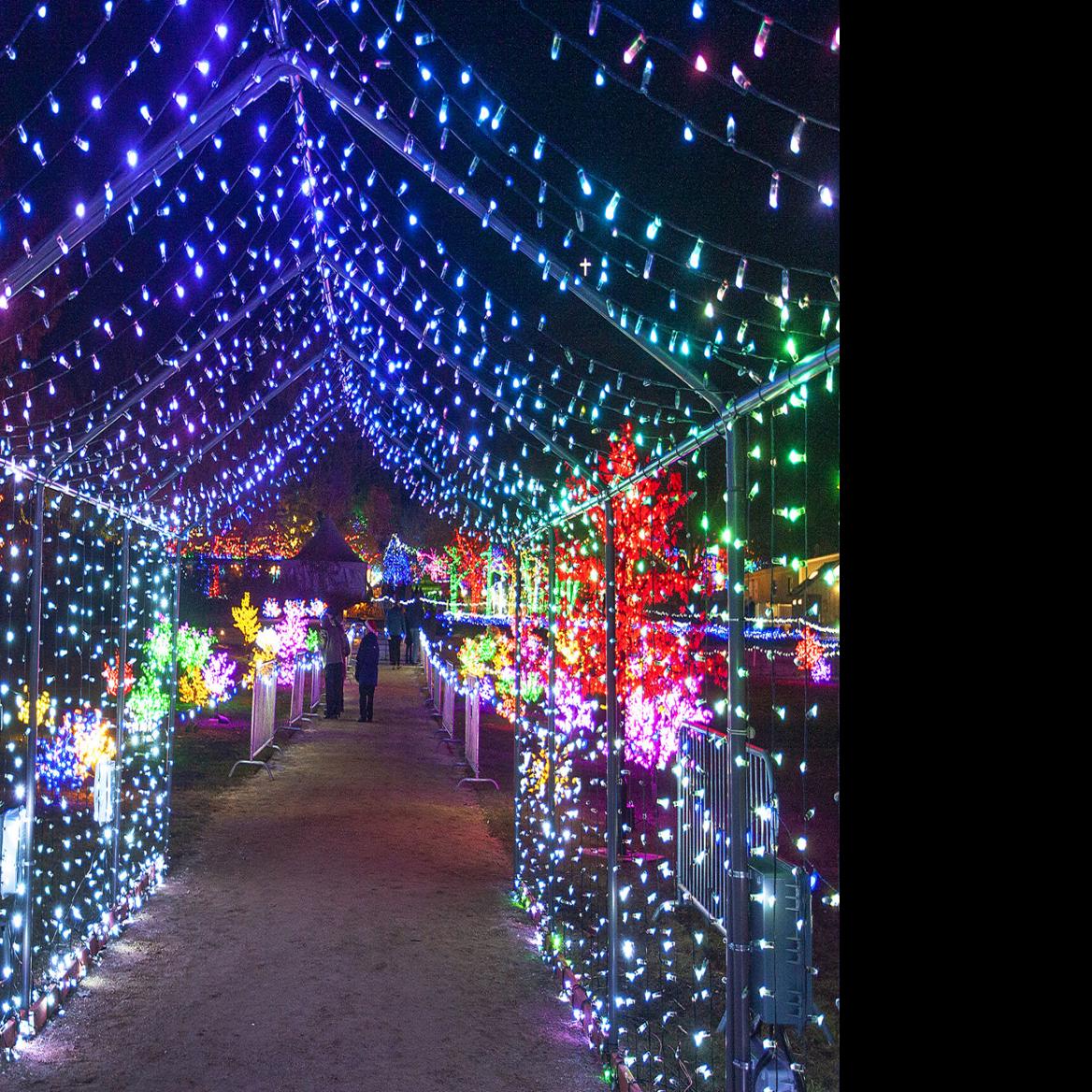 Winter Garden Aglow Military Night Fasci Garden