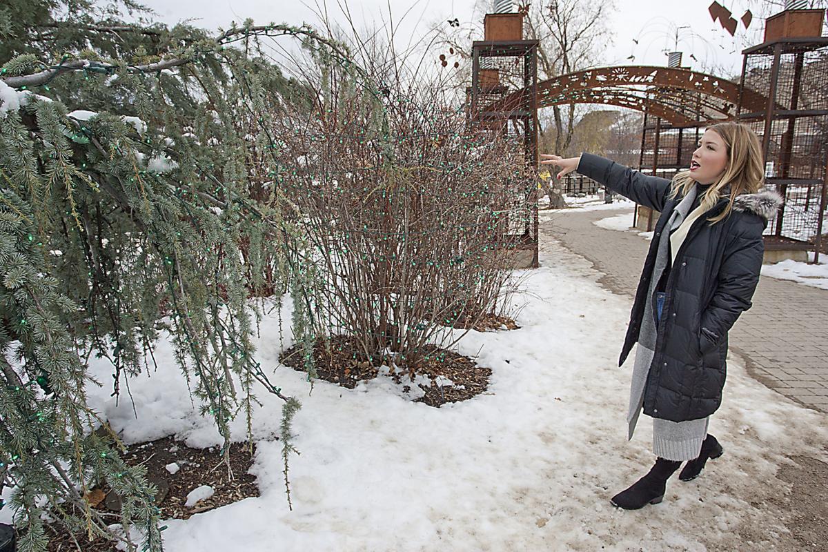 Garden Of Stars Life Idahopress Com