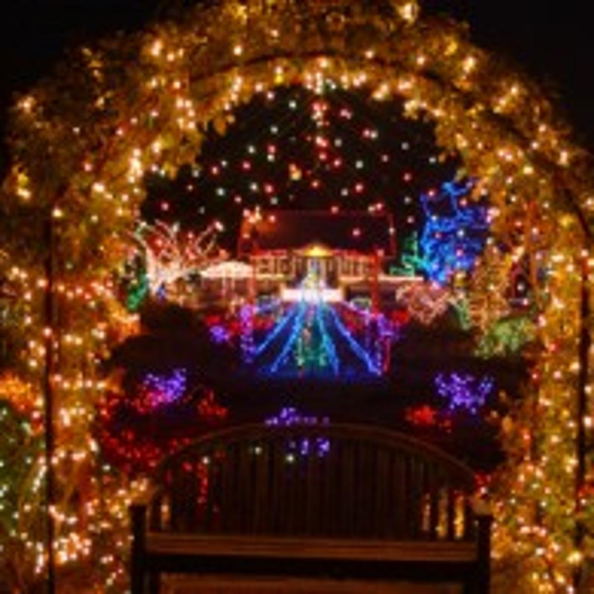 Winter Garden Aglow At Idaho Botanical Garden Fast Forward