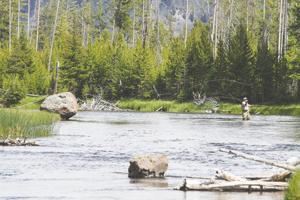 Yellowstone fee proposal wins initial vote in Wyoming House
