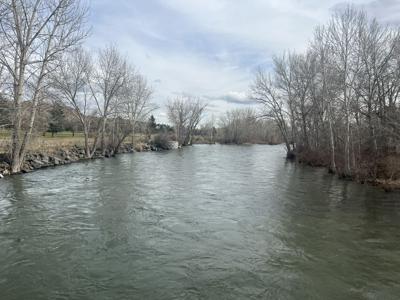 Boise River (copy)