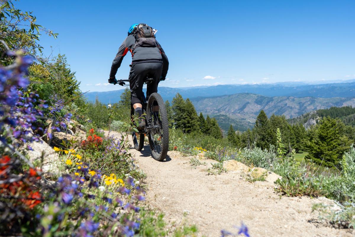 Boise Bike Park Open Bogus Basin Open For Summer Debuts New Mountain Bike Park Money