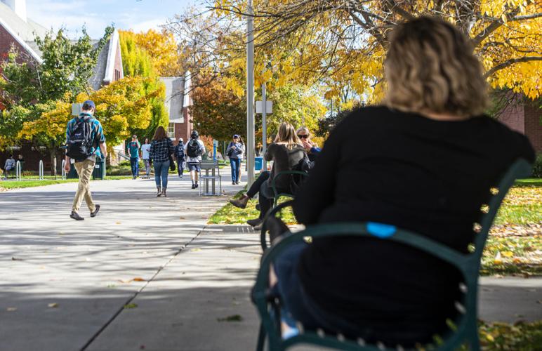 Albertsons Library State Board of Education approves DEI policies amid trepidation | Local ...