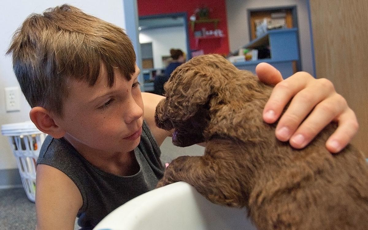 Nampa elementary school therapy dogs to join, help students | Local ...