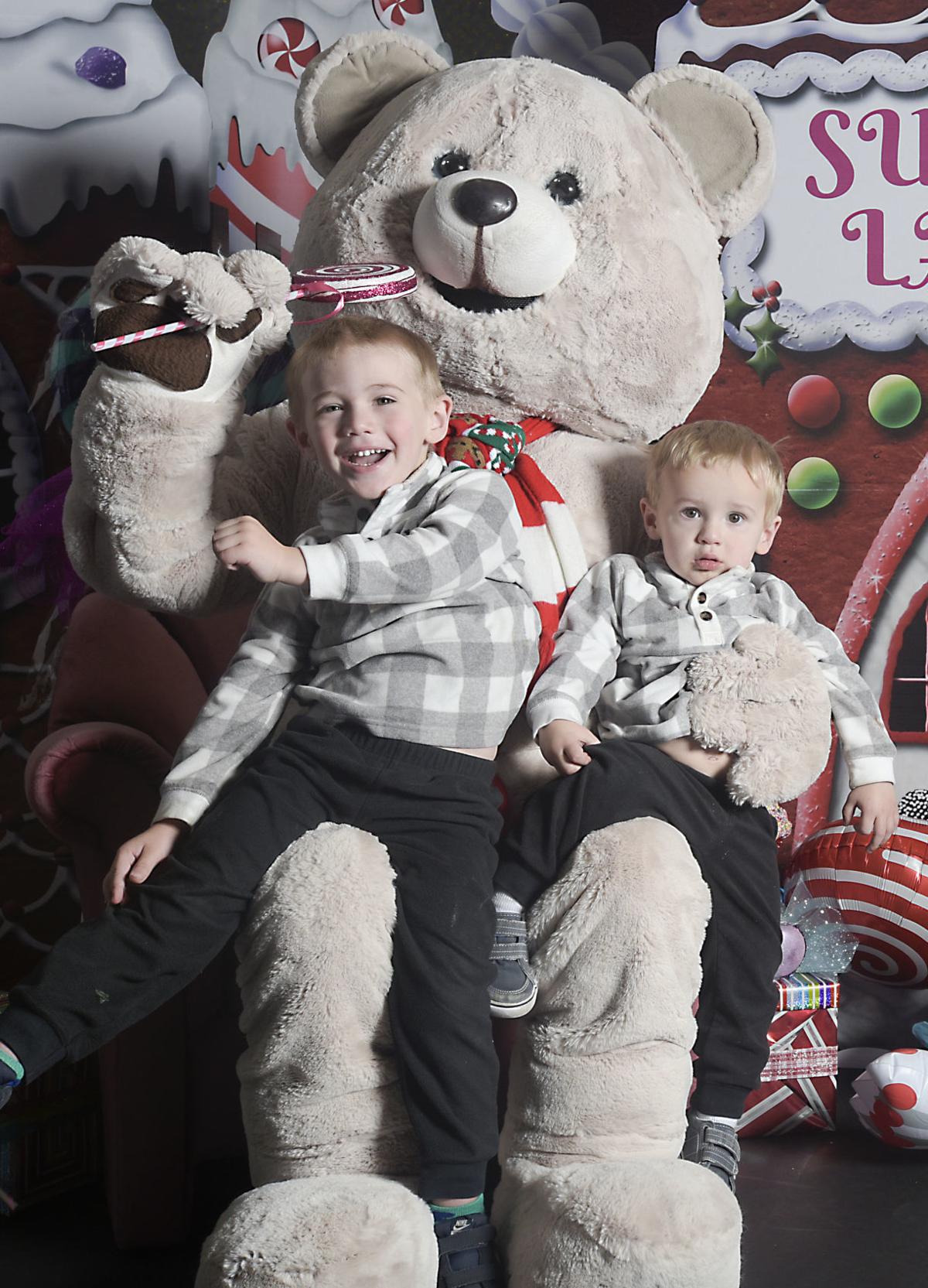 Cookie Bear Festival