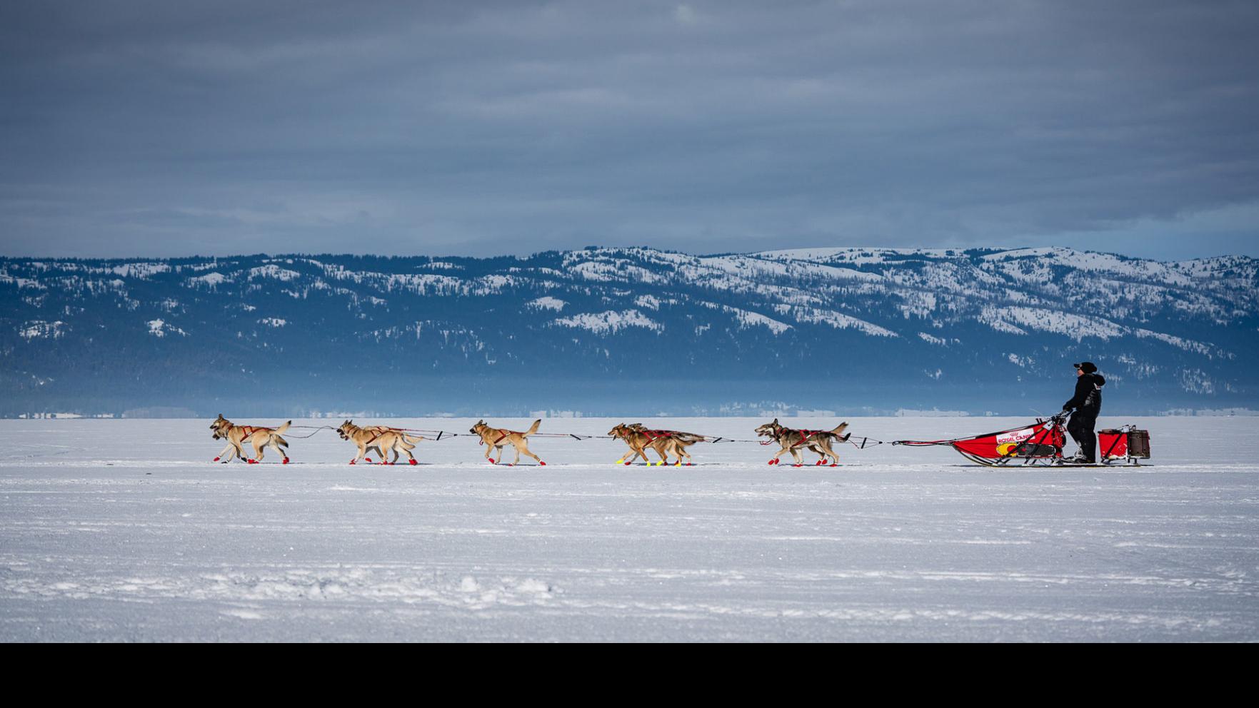 Park City 2022 Christmas Meet The Sleigh Dogs Idaho Sled Dog Challenge Returns Jan. 30-Feb. 3 | Community | Idahopress.com