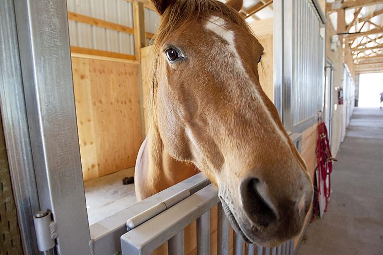 Idaho Youth Ranch opens indoor equestrian center Local News