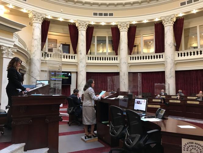 Idaho Senate 1-28-21