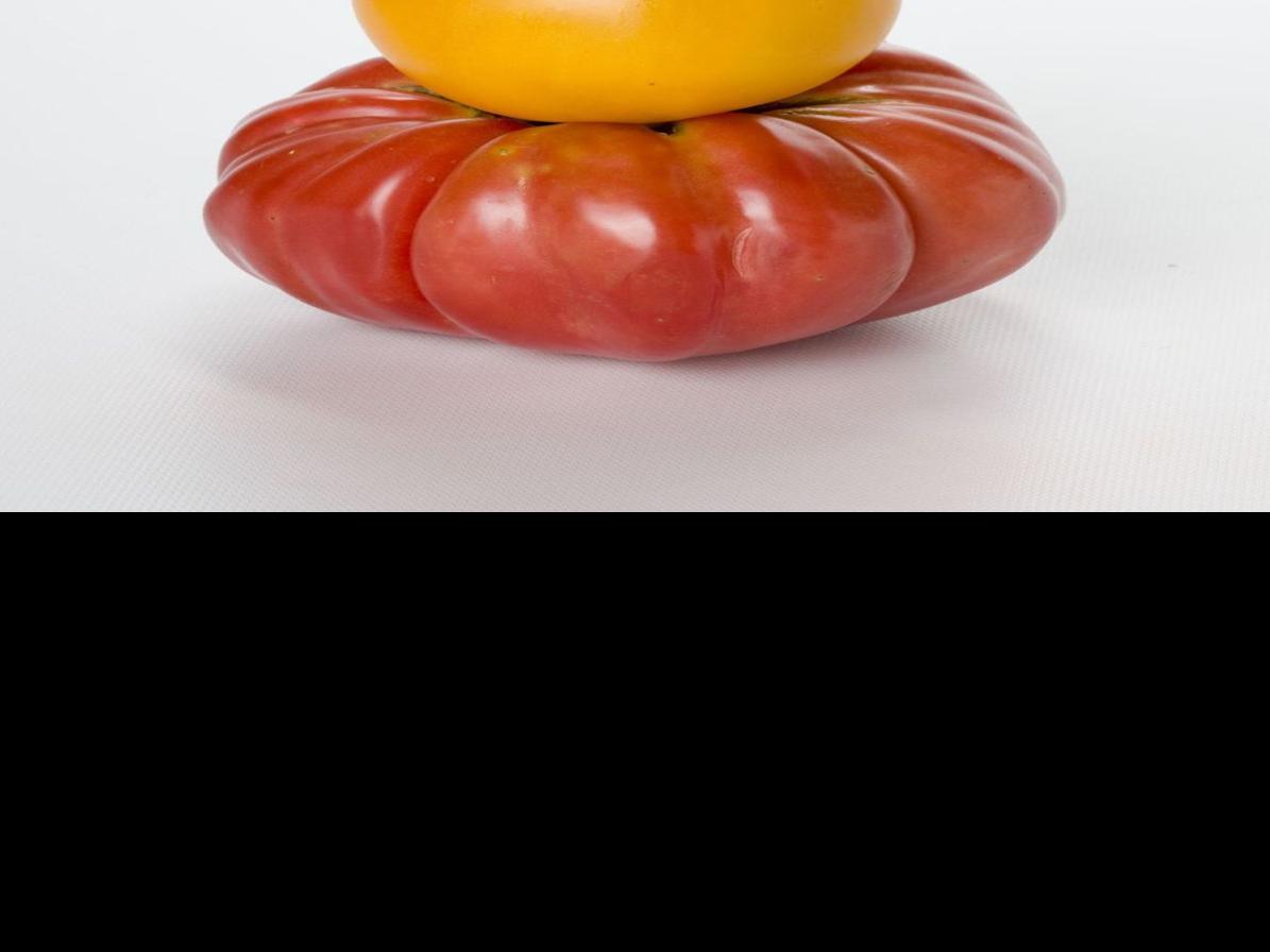 Tomatoes Timely Tips And Terms For A Super Satisfying Summer Crop Nampa Idahopress Com The soil should be rich in organic matter and plant nutrients, with a ph value of 6 to 7. tomatoes timely tips and terms for a