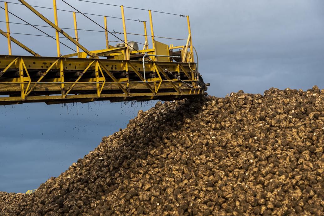 Amalgamated Sugar celebrates its 125th birthday Local News