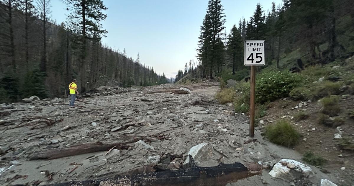 State Highway 21 cleared for drivers