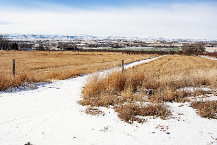 Proposed Amphitheater property