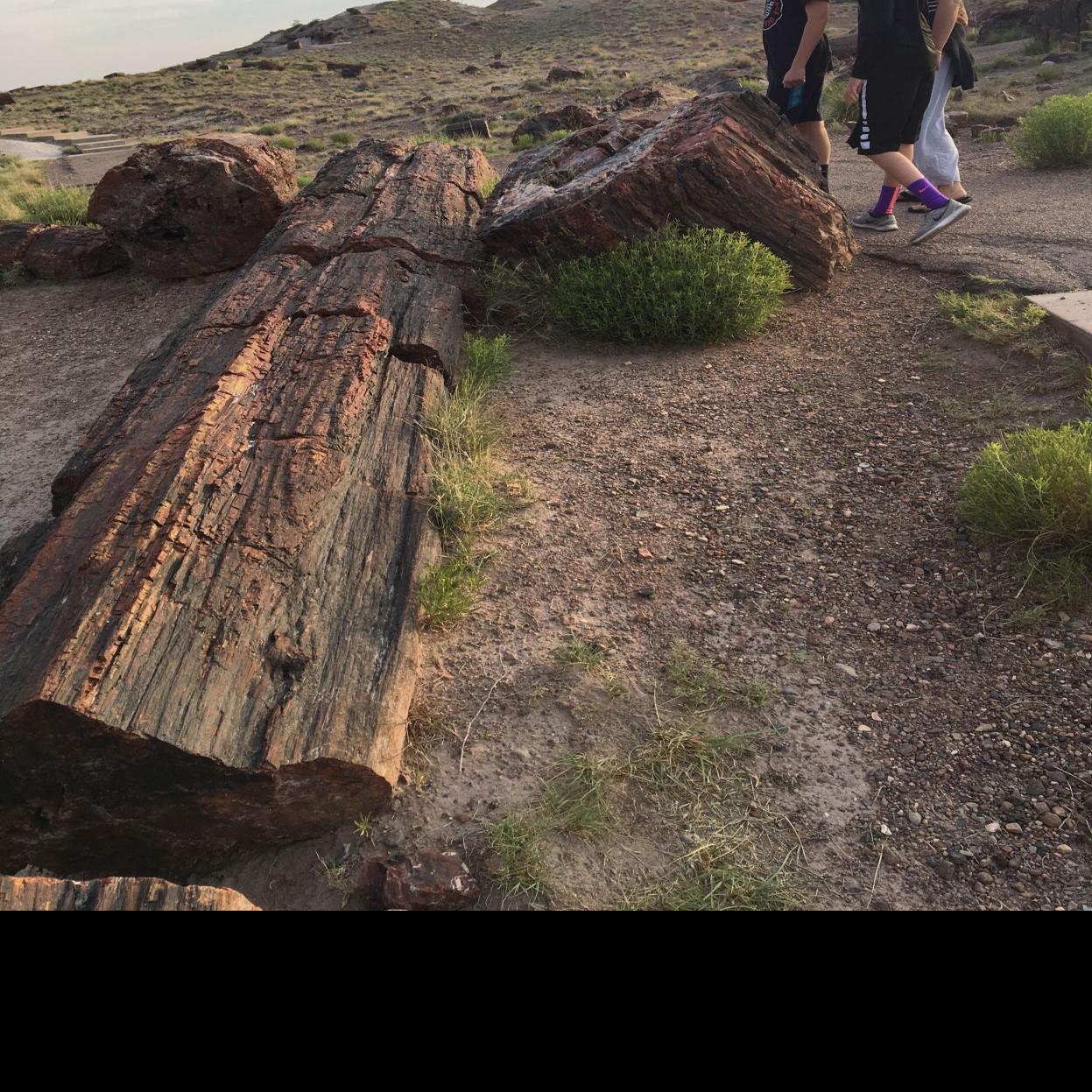 How To Do 5 Or More National Parks In A One Week Vacation Part
