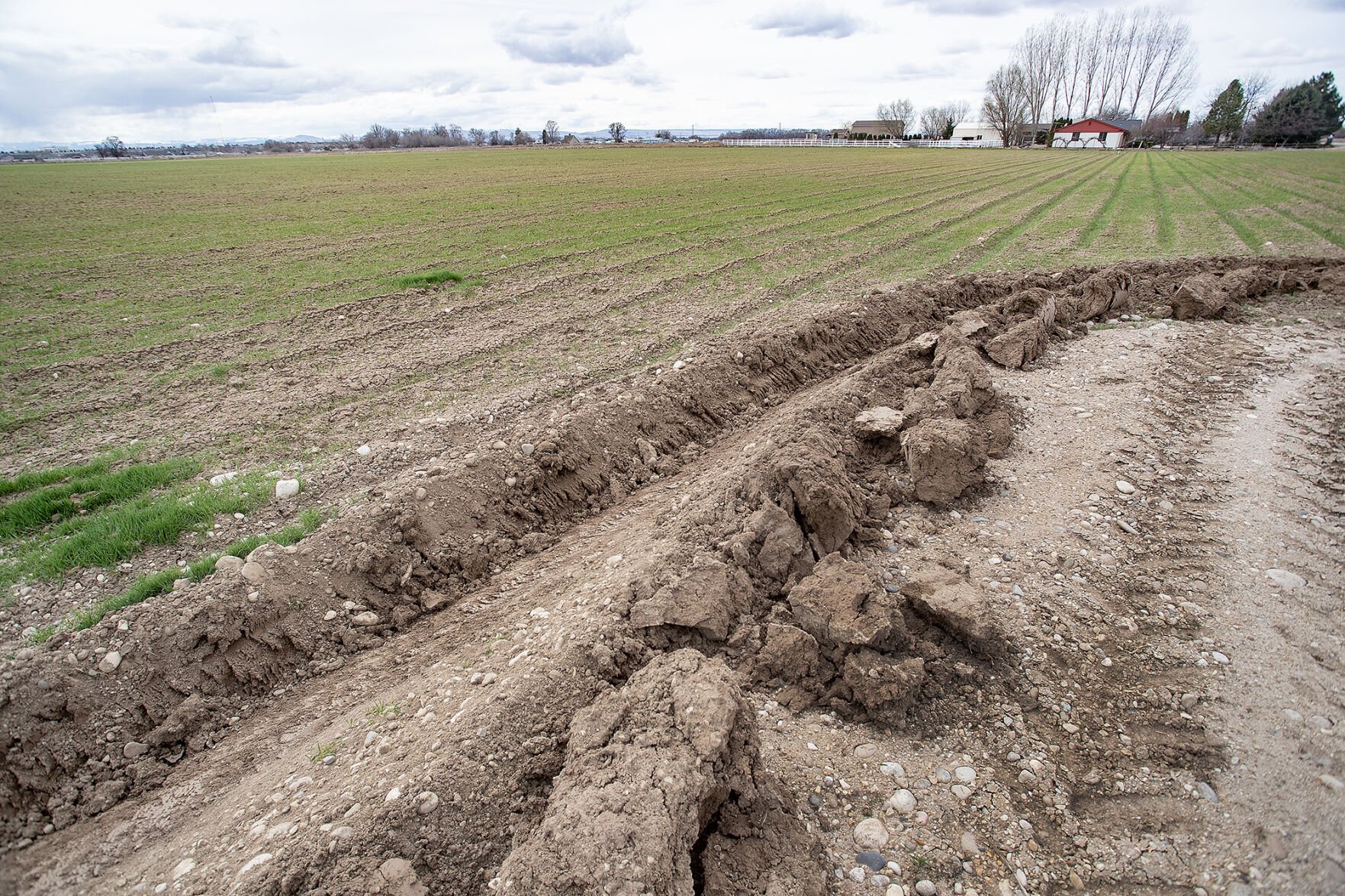 idahopress.com - Matthew Wells - Murphy Development Company acquires 78 acres for multifamily housing in Nampa