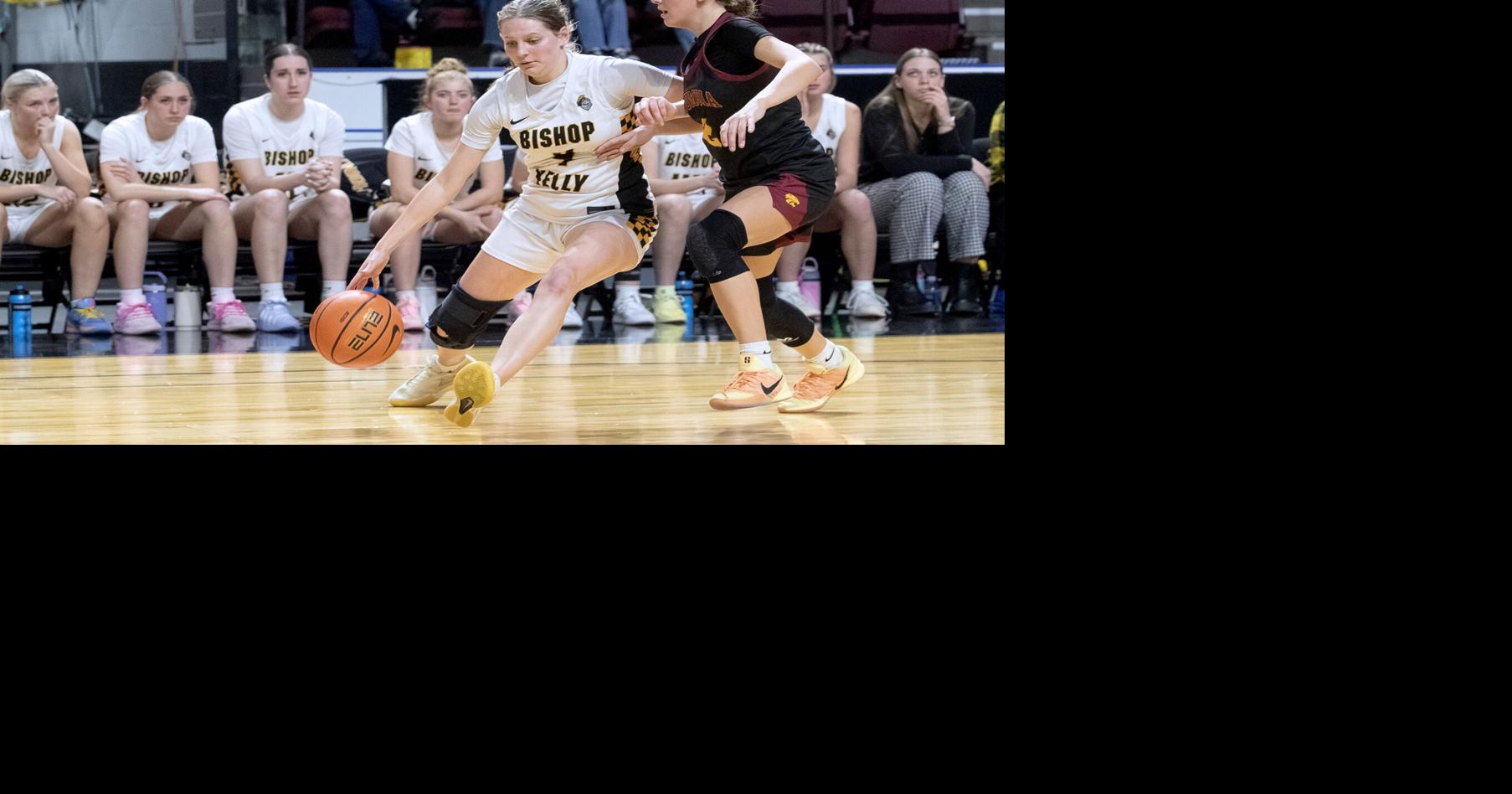 GIRLS STATE BASKETBALL CAPSULES: Profiles of state tournament teams