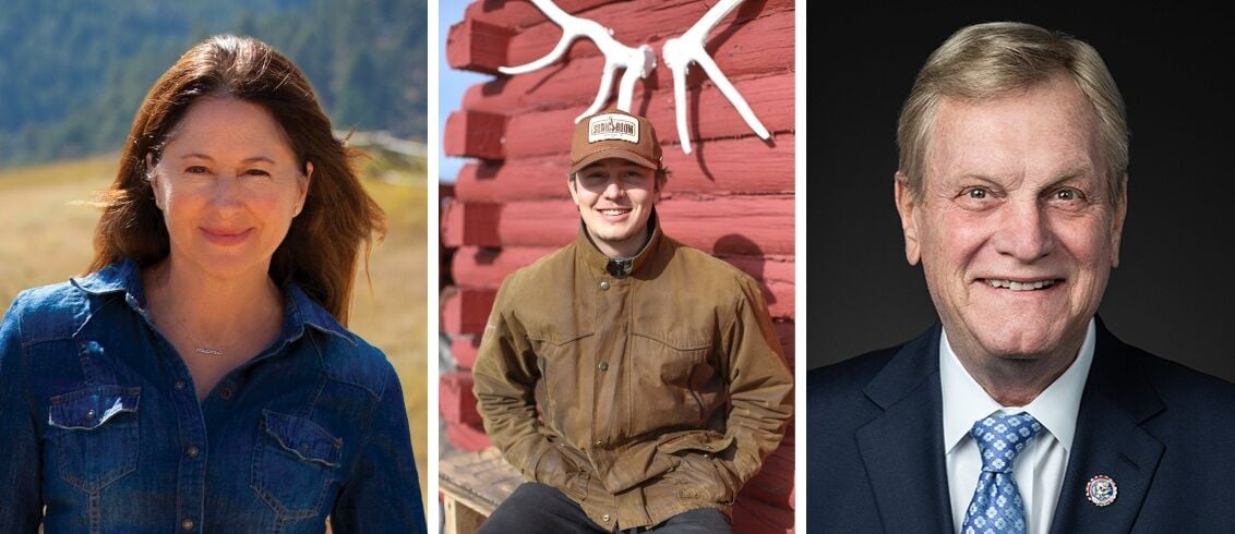 idahopress.com - Royce McCandless - Idaho Congressional candidates talk public lands, rising healthcare costs