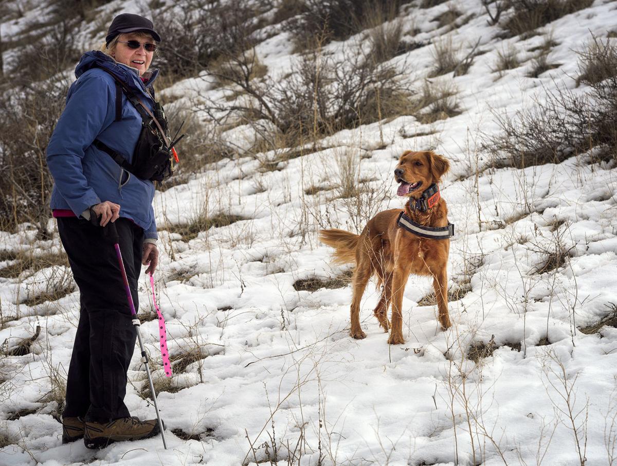 Search and Rescue06.JPG