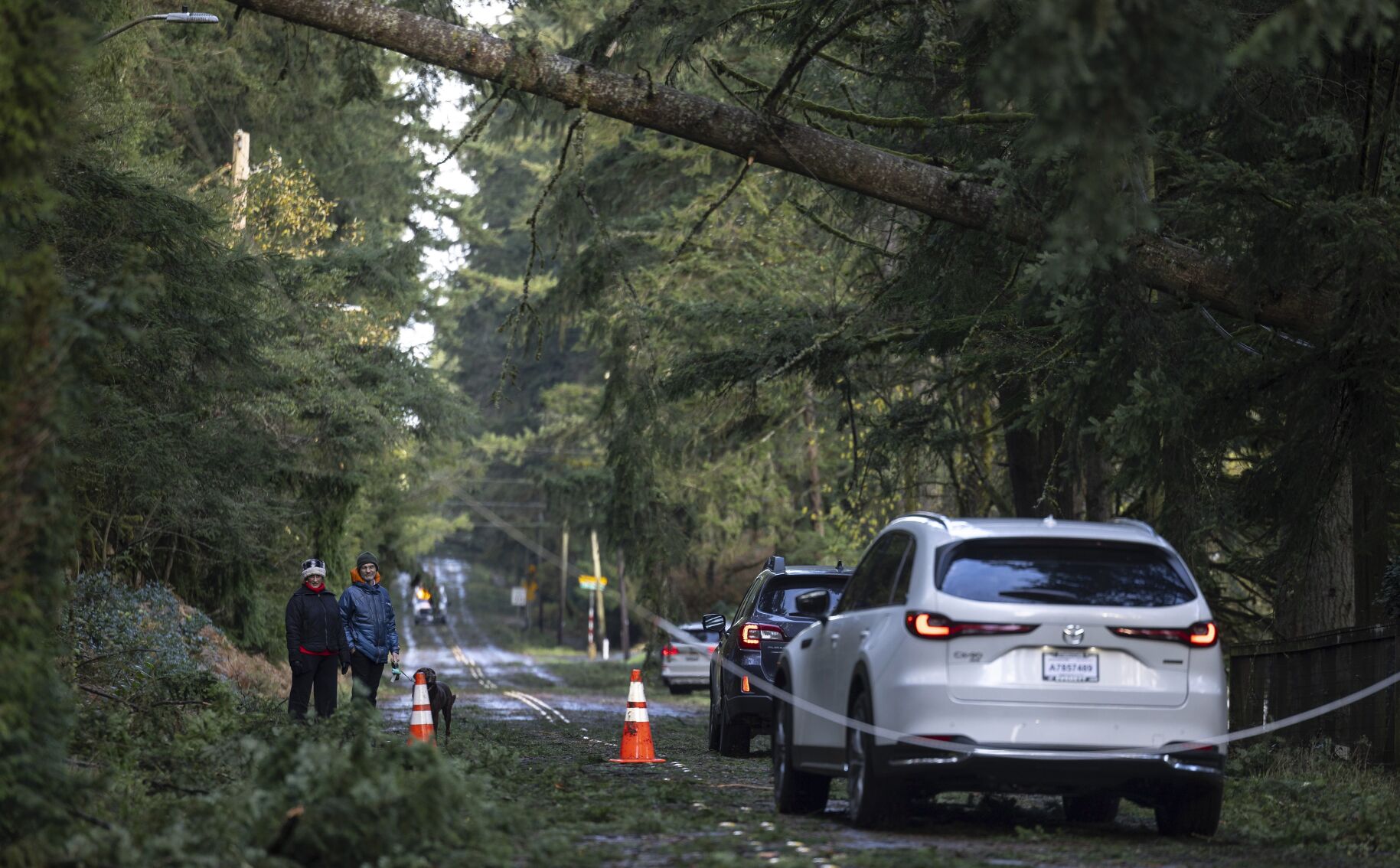 'Bomb Cyclone' Kills 2 And Knocks Out Power To Over Half A Million ...