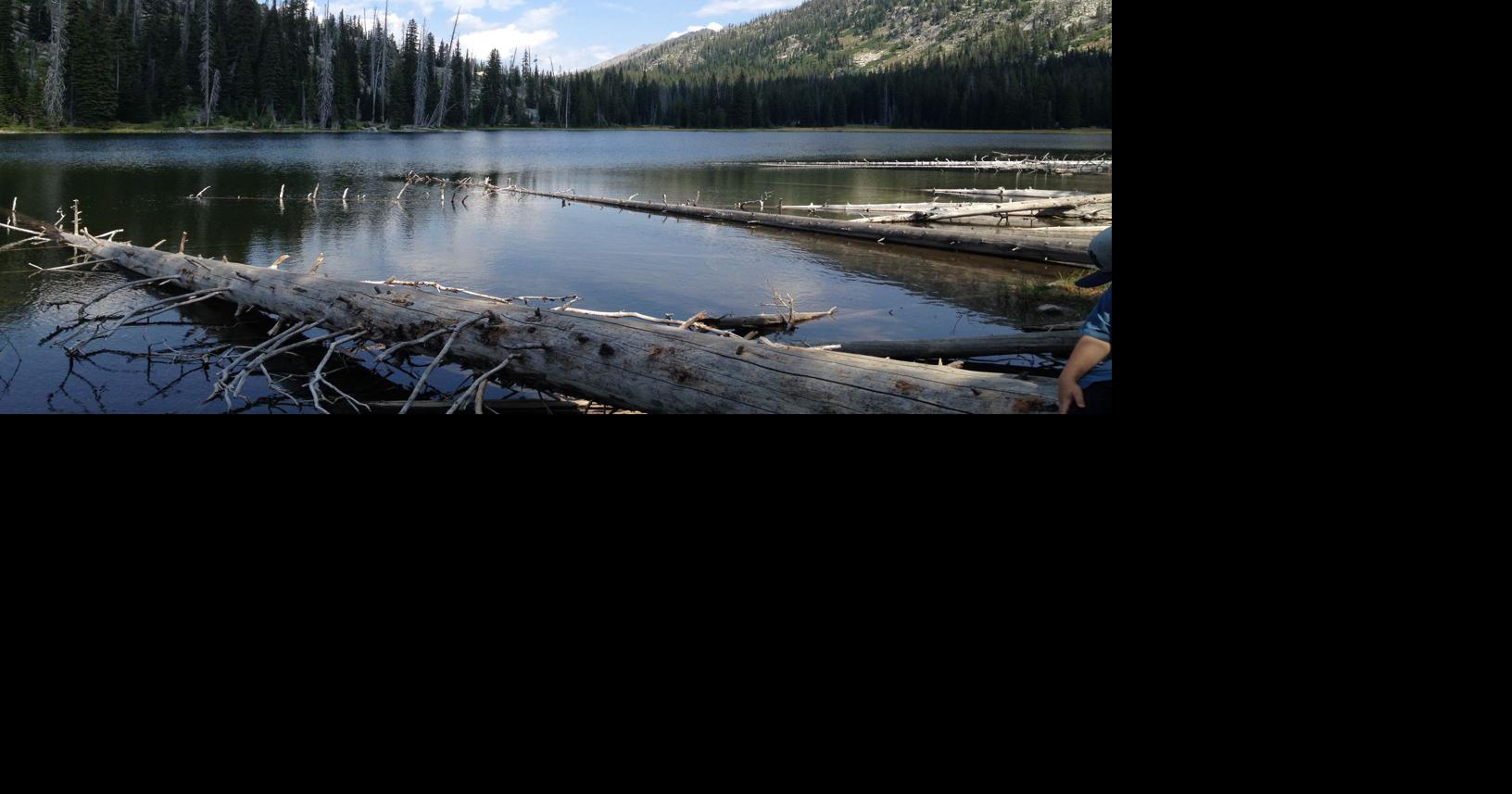 Easy, scenic trek to Duck Lake worth bumpy ride to trailhead | Members ...