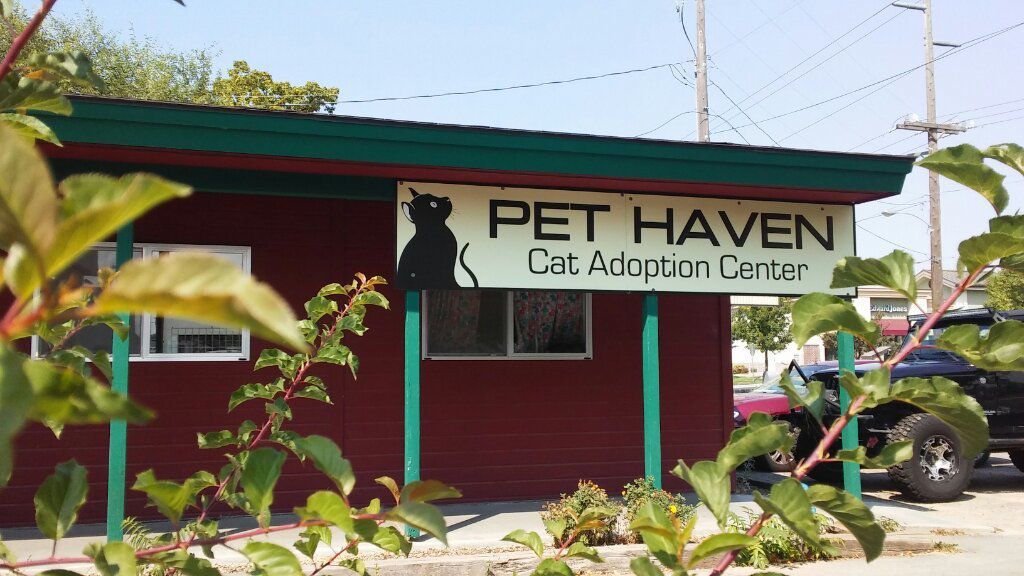 Idaho Gives, a statewide online fundraiser, takes place today Local