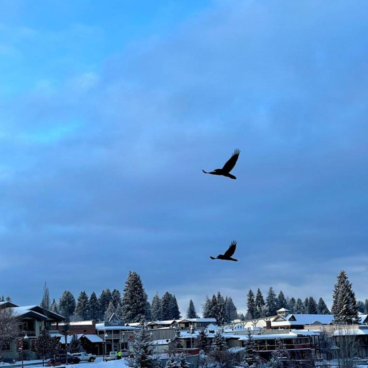 Trident Submits Formal Proposal For Large But Reduced Mccall Area Land Swap Eye On Boise Idahopress Com Trident Submits Formal Proposal For Large But Reduced Mccall Area Land Swap Eye On Boise Idahopress Com