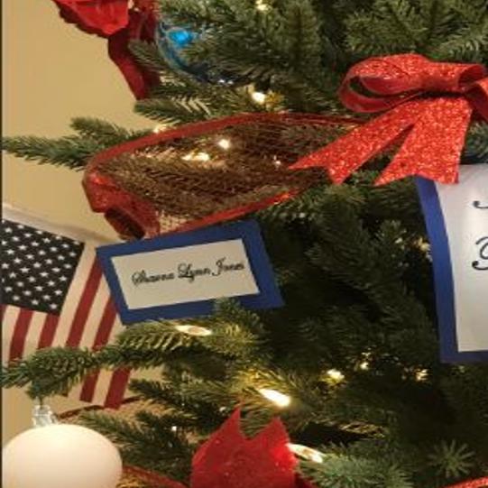 Fun Things You Get To Do Annual Nampa Police Christmas Tree Competition Local News Idahopress Com